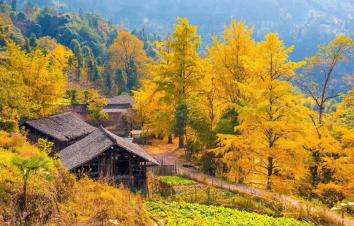 广东出发探访广西桂林海洋乡童话世界-龙脊梯田休闲3天自驾游-游推荐