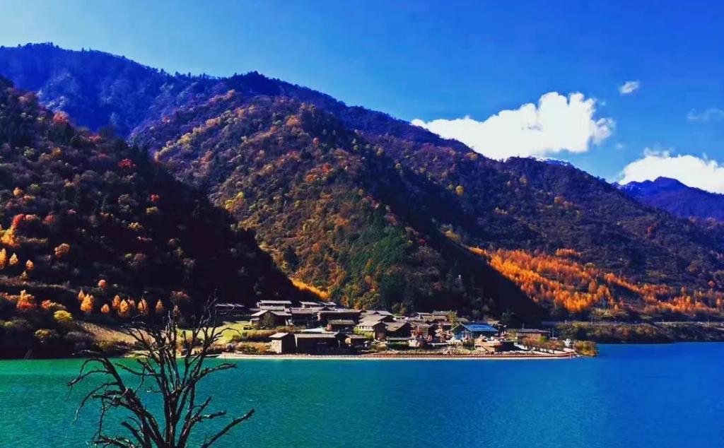 重庆出发川北3日自驾游：【白马印象】彩林长廊•轻徒步•白马古寨3日自驾