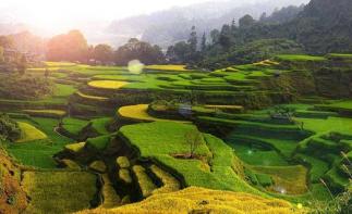 北京出发至西安5日油菜花自驾游；汉中油菜花-秦岭凤堰古梯田休闲5日自驾-推荐
