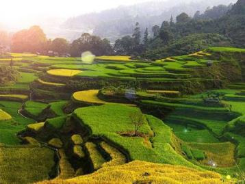 北京出发至西安5日油菜花自驾游；汉中油菜花-秦岭凤堰古梯田休闲5日自驾