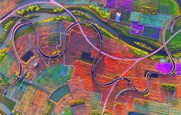 山东出发江苏自驾游：兴化千垛花海-大纵湖芦苇迷宫-李中水上森林3日休闲游-游推荐