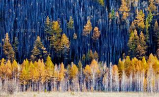 盘锦集合东北/俄罗斯自驾游：盘锦红地毯-五大莲池-漠河北极村-俄罗斯15日赏秋之旅-推荐