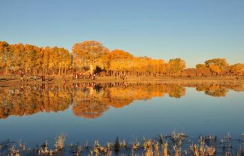 重庆出发/内蒙西北10日自驾游：张掖-怪树林-额济纳胡杨林-巴彦淖尔-响沙湾-鄂尔多斯-安塞-汉中1-游推荐