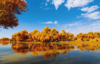 济南出发西北11日自驾游：额济纳胡杨林-大柴旦翡翠湖-茶卡盐湖11日青甘大环线-游推荐