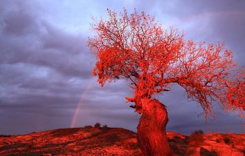 西安出发柴达木盆地6日自驾游：胡杨林-水上雅丹-九层妖塔古墓群探秘之旅-游推荐