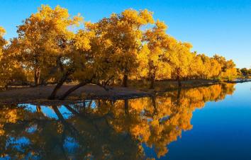 成都出发内蒙额济纳8日自驾游：胡杨林-张掖丹霞-戈壁风光西北8日自驾游-游推荐