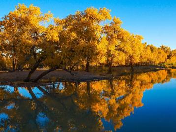 成都出发内蒙额济纳8日自驾游：胡杨林-张掖丹霞-戈壁风光西北8日自驾游