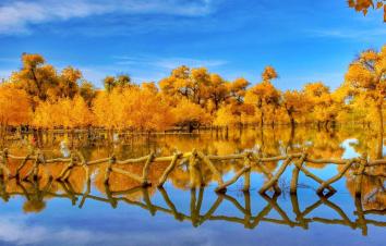 北京出发内蒙古自驾游：额济纳胡杨林-居延海-怪树林-黑水城6日自驾之旅-游推荐