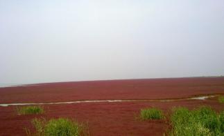 北京出发山东自驾游：朱家裕风景区-黄河口生态旅游区-雪野湖3日自驾之旅-推荐