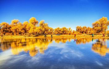 山东出发额济纳7日自驾游：额济纳胡杨林-掖丹霞-老牛湾-沙坡头赏秋游-游推荐