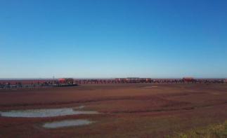 北京出发自驾观红海滩奇观，品盘锦稻田蟹、惬意辽河游船晚餐特色之旅2日游-推荐