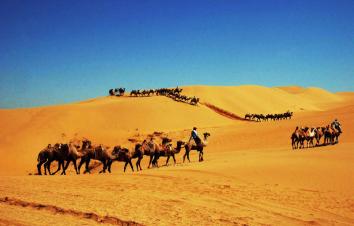 成都出发内蒙8日自驾游：响沙湾-七星湖-镇北堡影视城8日自驾游-游推荐