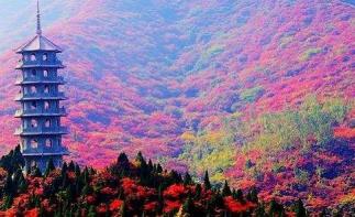 北京出发山东河北4日自驾游：红叶谷-广府古城-娲皇宫4日自驾之旅-推荐