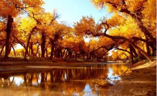 济南出发自驾额济纳8日游：乌兰察布-乌梁素海-额济纳胡杨林-嘉峪关-波浪谷8日游-推荐