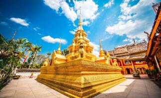 重庆出发云南西双版纳7日自驾：野象谷-傣族园-抚仙湖，享尽雨林奇观、傣族风情-推荐