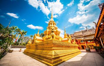 重庆出发云南西双版纳7日自驾：野象谷-傣族园-抚仙湖，享尽雨林奇观、傣族风情-游推荐