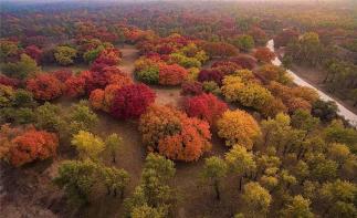 北京出发通辽5日自驾游：奈曼怪柳-沙漠草原-五角枫-金秋通辽公益扶贫5日自驾游-推荐