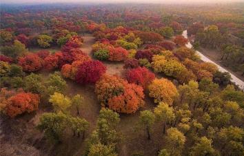 北京出发通辽5日自驾游：奈曼怪柳-沙漠草原-五角枫-金秋通辽公益扶贫5日自驾游-游推荐