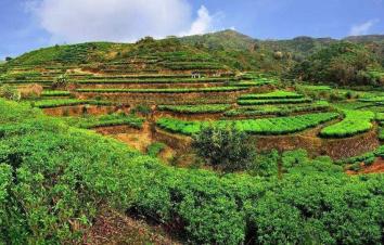 厦门出发广东梅州4日自驾游：大埔泰安楼-五华热矿泥-雁南飞-客天下4日游-游推荐