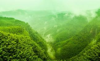 北京出发湖北四川12日自驾：三峡大坝-蜀南竹海-嘉阳小火车12日川东南自驾游-推荐