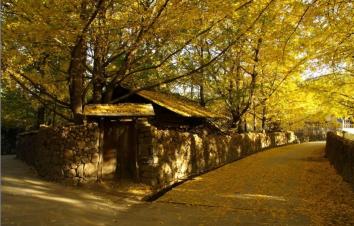 昆明集合云南滇西6日自驾游：金秋昆明大理腾冲瑞丽6日落地租车自驾-游推荐