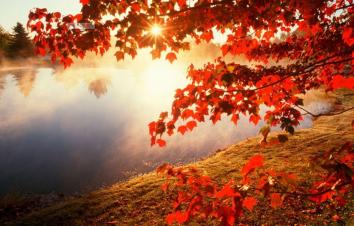 重庆出发湖北神农架4日自驾游：神农架秋色之美，穿越当阳大峡谷，游历史名城-游推荐