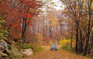重庆出发四川自驾游：赏光雾山秋色-逛三国古都-昭化古城3日自驾游-游推荐