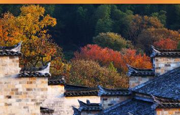 山东出发黄山5日自驾游：黄山-宏村-南坪-塔川-皖南318线赏秋5日游-游推荐