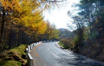 武汉出发穿越秦岭5日自驾游：留侯古镇-周至水街-黄柏塬生态区5日邂逅最美秋色-游推荐