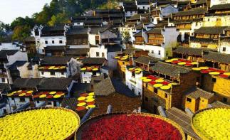 重庆出发到婺源篁岭7日自驾：景德镇-婺源篁岭-三清山7日秋摄自驾-推荐