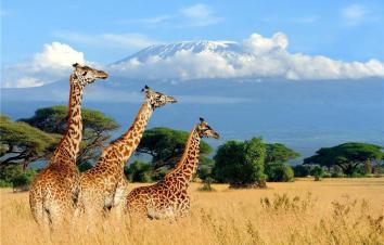 全景东非落地自驾：肯尼亚-东非大裂谷-乞力马扎罗山10日自驾游-游推荐