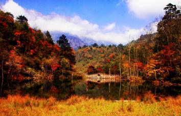 成都周边2日秋季赏红叶自驾游：二郎山喇叭河景区红叶2日自驾游-游推荐