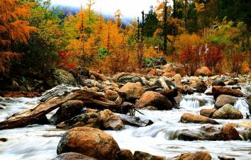 成都周边2日秋季赏红叶彩林自驾游：凉台沟-毕棚沟2日纯玩休闲自驾游-游推荐