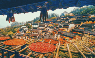 北京出发江西婺源7日自驾游：无敌婺源乡村秋色-南京止马岭池杉林深度摄影7日自驾游-推荐