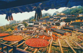 北京出发江西婺源7日自驾游：无敌婺源乡村秋色-南京止马岭池杉林深度摄影7日自驾游-游推荐