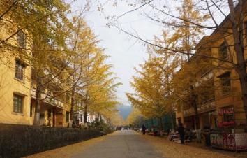 中山出发韶关2日自驾游：邂逅广东最美秋色南雄银杏古树、始兴红土地2天自驾-游推荐