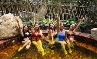 北京出发秦皇岛2日自驾游：泡温泉、逛生态园、五星阿尔卡迪亚奢华自驾-推荐