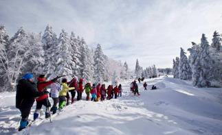 苏州出发东北环线10日自驾游：雾凇童话-查干湖冬捕-冰雪大世界自驾之旅-推荐