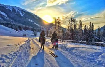 乌鲁木齐集合北疆7日落地自驾游：喀纳斯湖-禾木村-北疆体验刺激玩雪之旅-游推荐