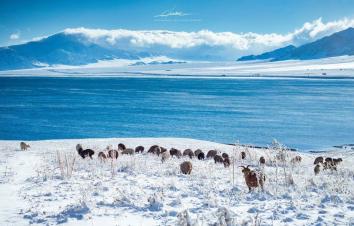 乌鲁木齐集合6天北疆自驾游：魔鬼城-禾木村-克拉玛依-喀纳斯6天冰雪自驾游-游推荐