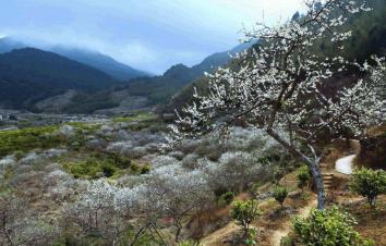 周末中山周边自驾游：增城品盆菜-从化石门森林公园赏枫叶-溪头村寻梅2天自驾-游推荐