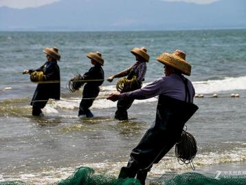 周末中山周边自驾游：相约阳春春湾石林、挑战玻璃栈道、阳西拖网捕鱼2天自驾