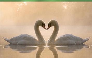 济南出发荣成烟墩角3日休闲游：牟氏庄园-烟墩角-温泉酒店3日自驾游-游推荐