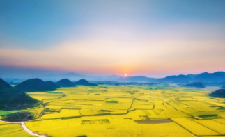 重庆出发云南6日特色自驾：元阳梯田-碧色寨-罗平油菜花6日自驾游-推荐