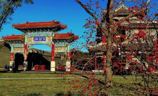 北京出发天津2日自驾游：杨柳青古镇、辛口镇采摘沙沃萝卜、天津热带植物观光园2日自驾-推荐