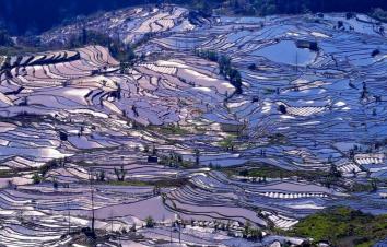 重庆出发云南6日自驾游：建水古城-元阳梯田-蒙自-碧色寨追忆芳华-罗平油菜花6日自驾之旅-游推荐