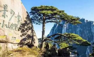 福建出发安徽5日自驾游：宏村-屯溪老街-黄山5日徽州体验之旅-推荐