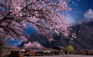 北京出发西藏青海23日自驾游：拉萨-雅鲁藏布大峡谷-羊卓雍错-青海湖23日自驾-推荐