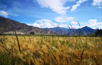 成都集合16日西藏自驾游：G318川藏线-稻城亚丁-羊湖-拉萨-翡翠湖16日川进青出自驾游-游推荐