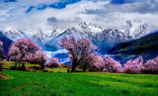 拉萨集合林芝桃花9日自驾游：林芝桃花-布达拉宫夜景-墨脱落地自驾9日-推荐